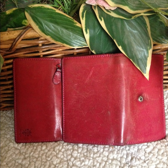 Vera Pelle - Picture 3 of 8